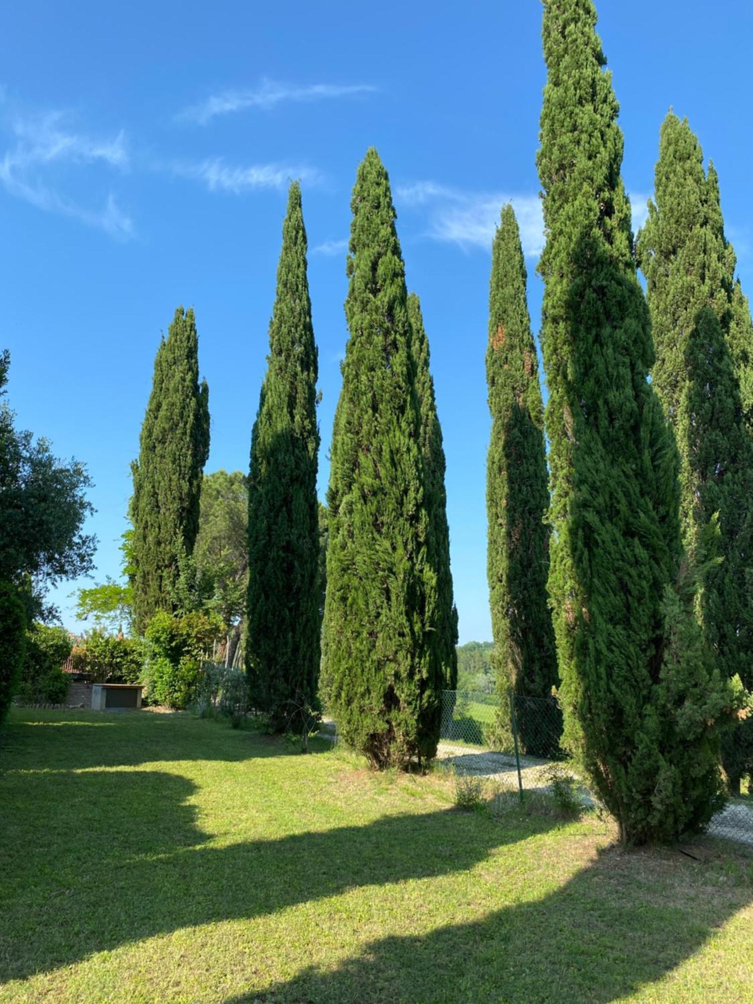 Villa Tre Colli - In The Heart Of Tuscany 체르탈도 외부 사진