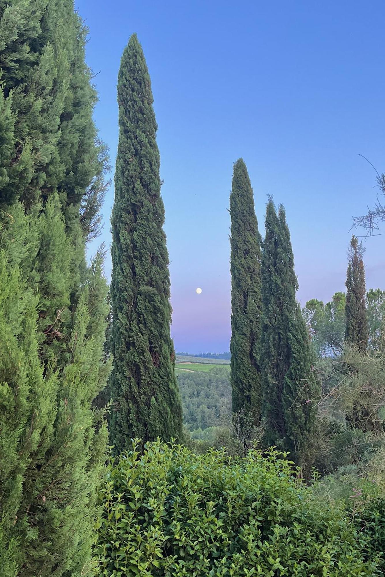 Villa Tre Colli - In The Heart Of Tuscany 체르탈도 외부 사진